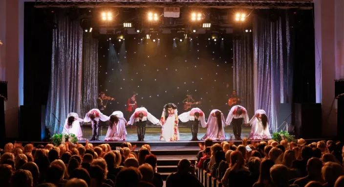 Tiyatro Salonu VRF Klimaları